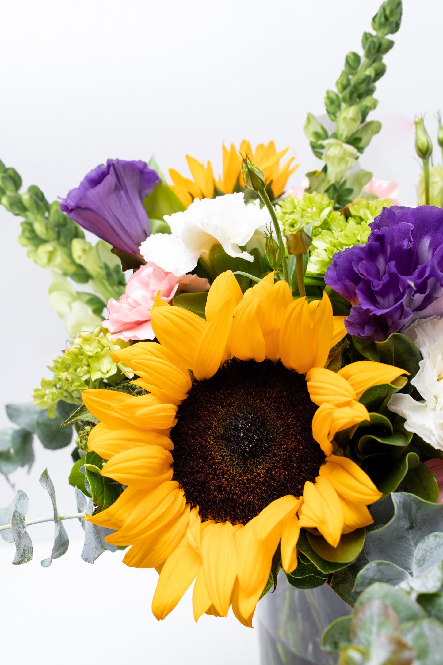 Emocionante - Girasol, Clavel Rosa y Blanco, Hortensia y Perrito