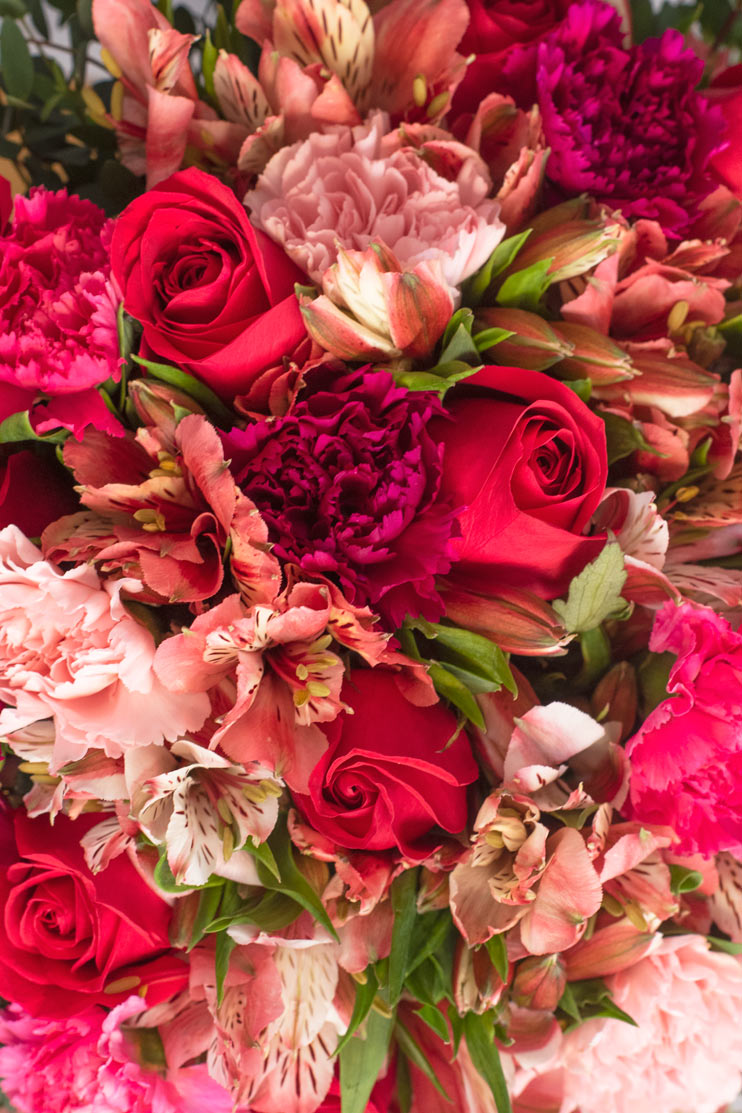 Enamorados - Rosa Roja, Clavel Rosa y Astromelia Rosa