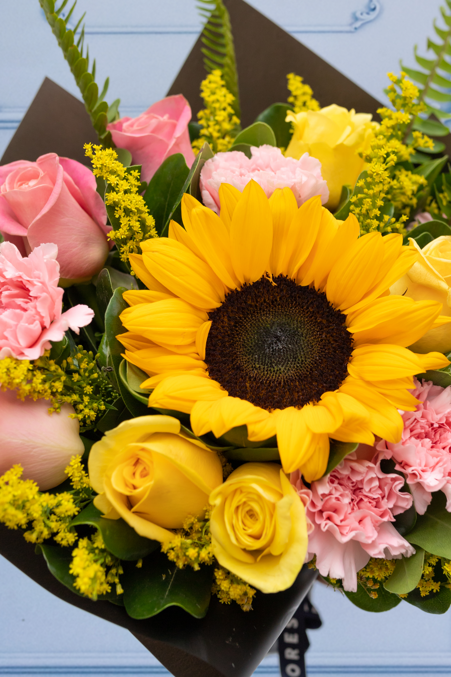 Amable - Girasol, Rosa Amarilla y Clarita, Clavel Rosa