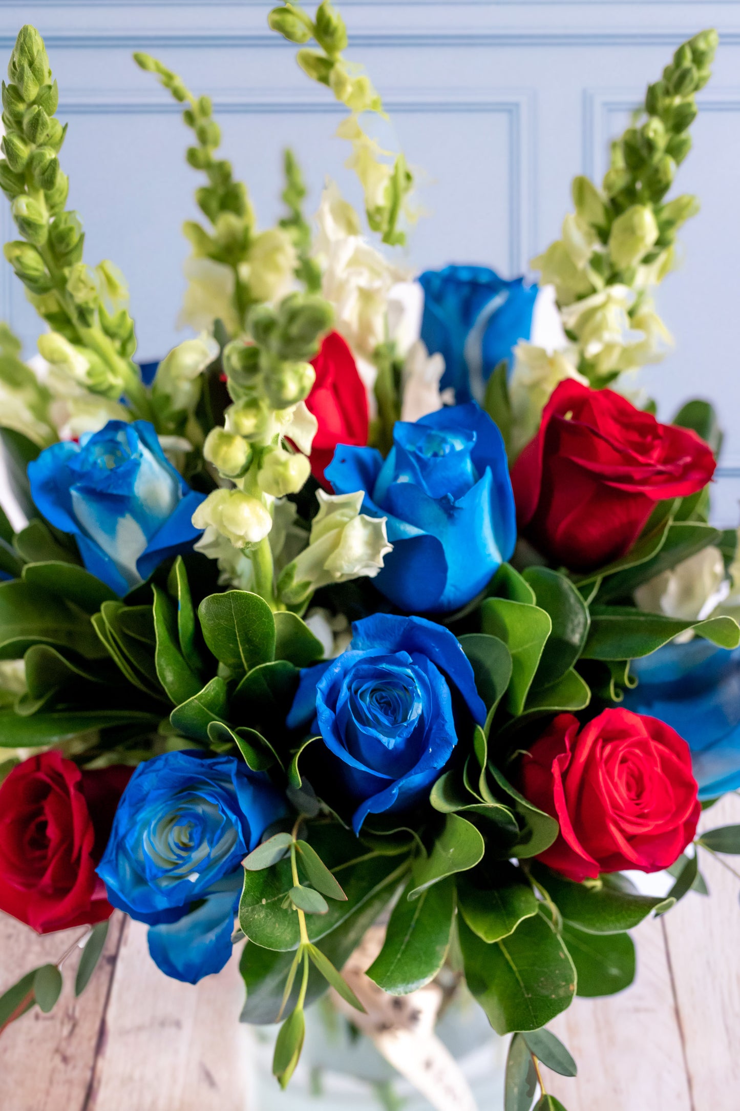 Blueberry - Rosa Azul, Rosa Roja y Perrito Blanco