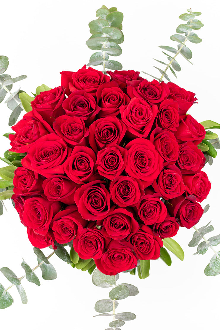 La Vida en Rosa - Rosa Roja
