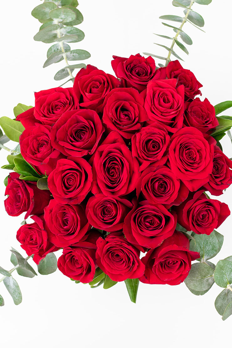 La Vida en Rosa - Rosa Roja