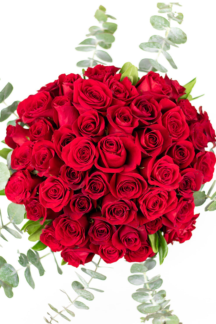 La Vida en Rosa - Rosa Roja