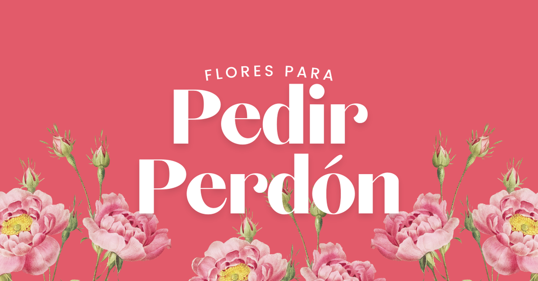 flores para pedir perdón