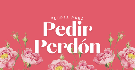 flores para pedir perdón