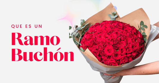 que es un ramo buchon