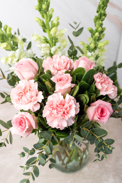 Campo Rosa - Rosa Clara, Clavel Rosa y Perrito Blanco