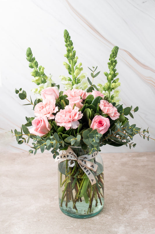 Campo Rosa - Rosa Clara, Clavel Rosa y Perrito Blanco