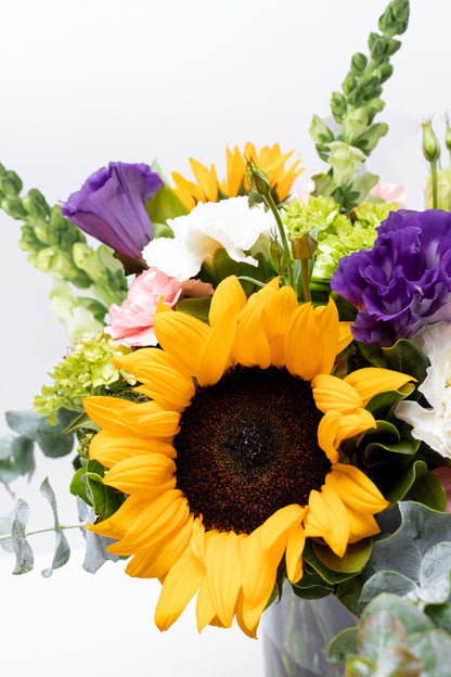 Emocionante - Girasol, Clavel Rosa y Blanco, Hortensia y Perrito