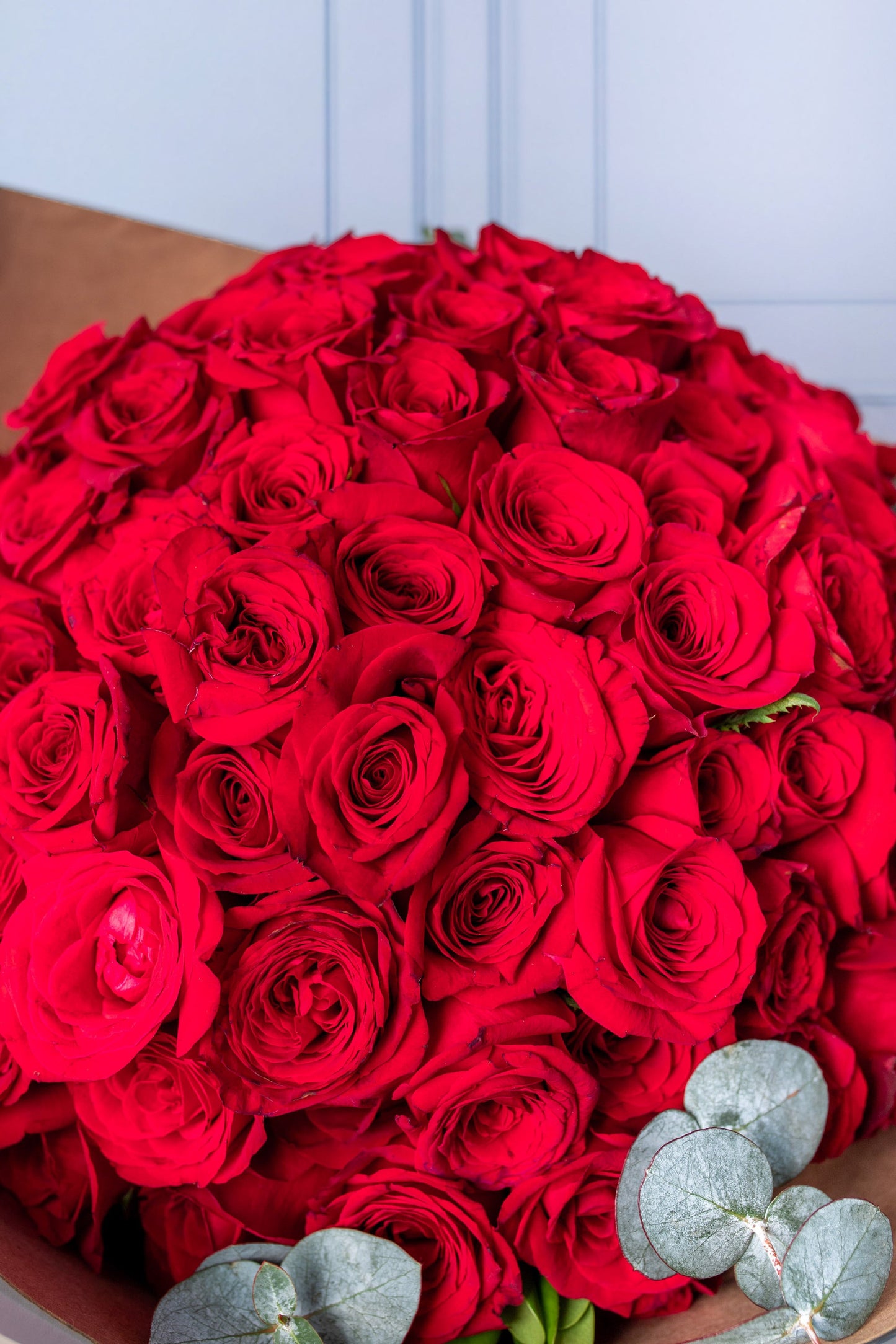 Ramo Buchón - 50 Rosas Rojas