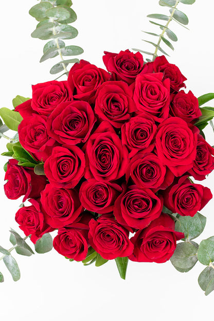 La Vida en Rosa - Rosa Roja